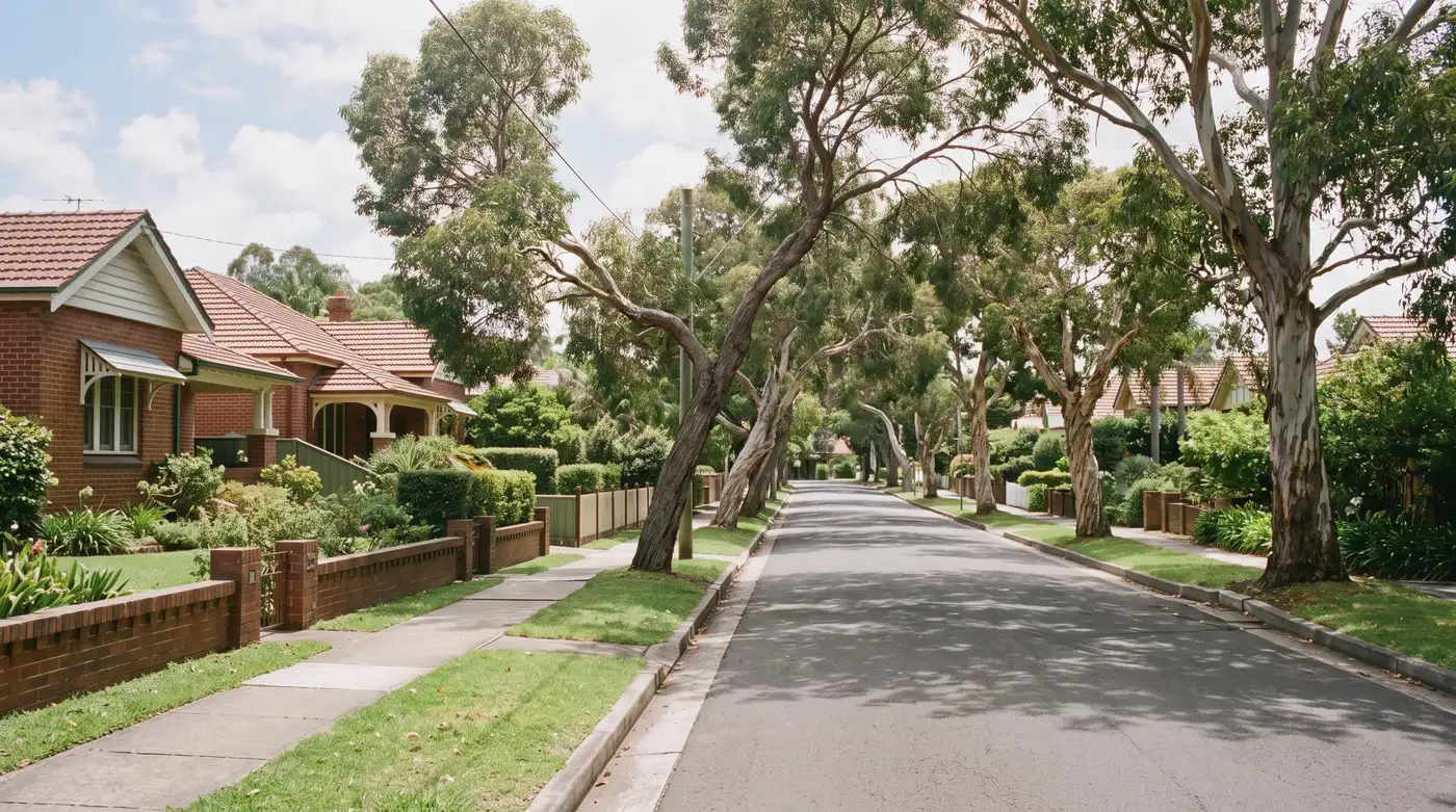 A leafy residential street in New Lambton, Newcastle